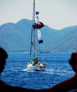 12 ADALAR TEKNE TURU